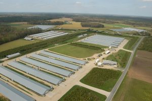 cafos_aerialphoto